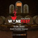 Wine Fest Galanta 1